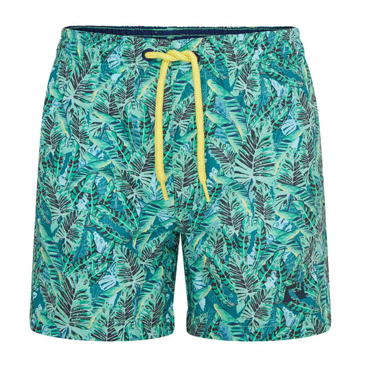 RCJSHO793 - Boys Leaf Print Swim Shorts